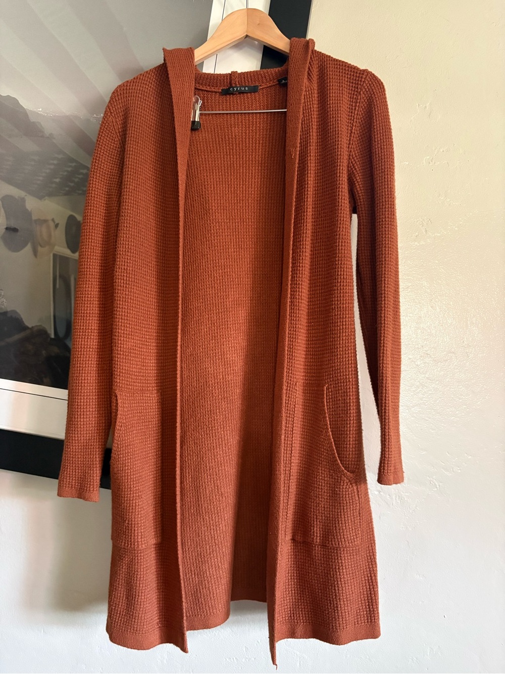 Cyrus Open-Front Hooded Cardigan - Rust